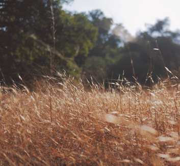 德国大胜拉脱维亚，欧洲预选赛看点不断